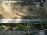 image of grave number 624111